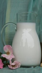 Vers ingevroren Paardenmelk afhalen